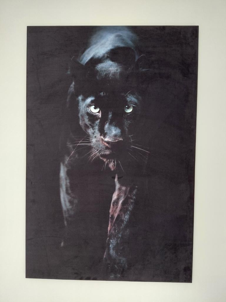 Te koop Schilderij op fluweel stof, Ophalen
