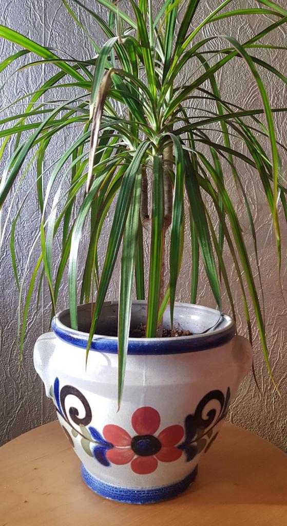 retro vintage West Germany bloempot plantenpot keramiek, Gebruikt, Rond, Ophalen of Verzenden, Balkon