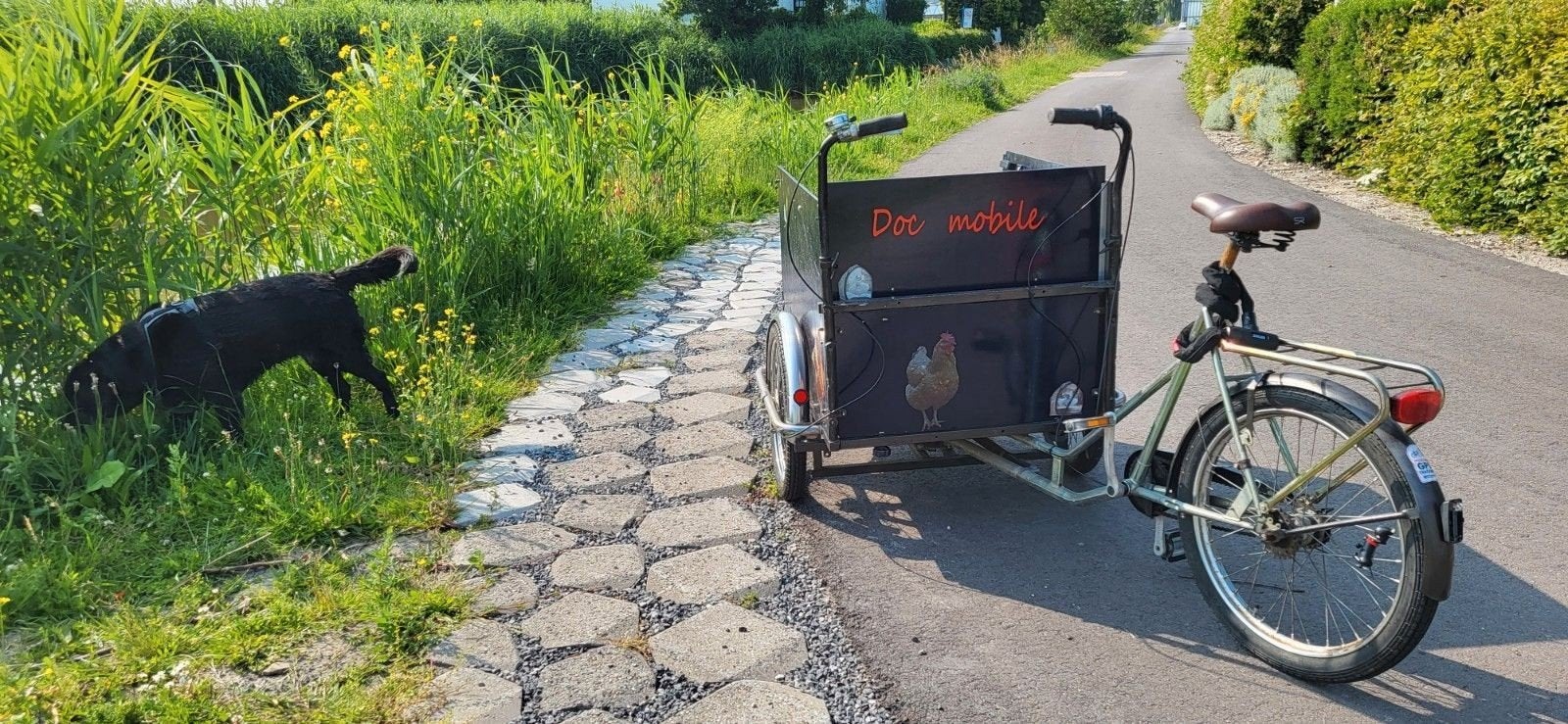 Mooie niet-elektrische bakfiets, fietst prima!, Gebruikt, Elektrisch, 2 kinderen, Ophalen
