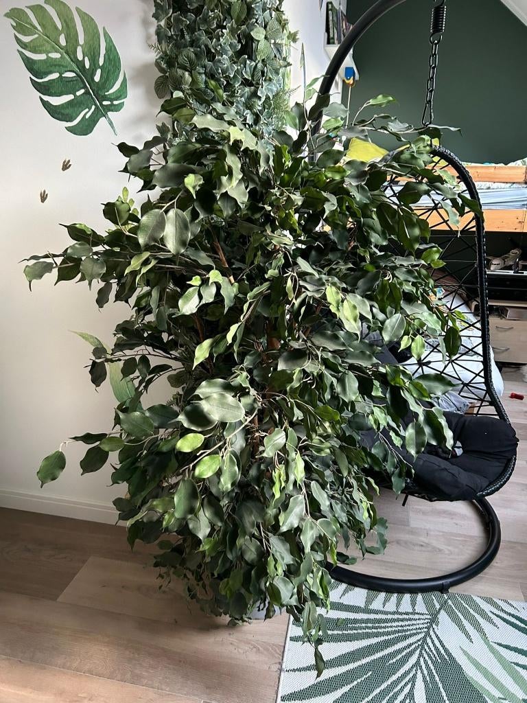 kunstboom, Ophalen, 100 cm, Kunststof, Overige merken
