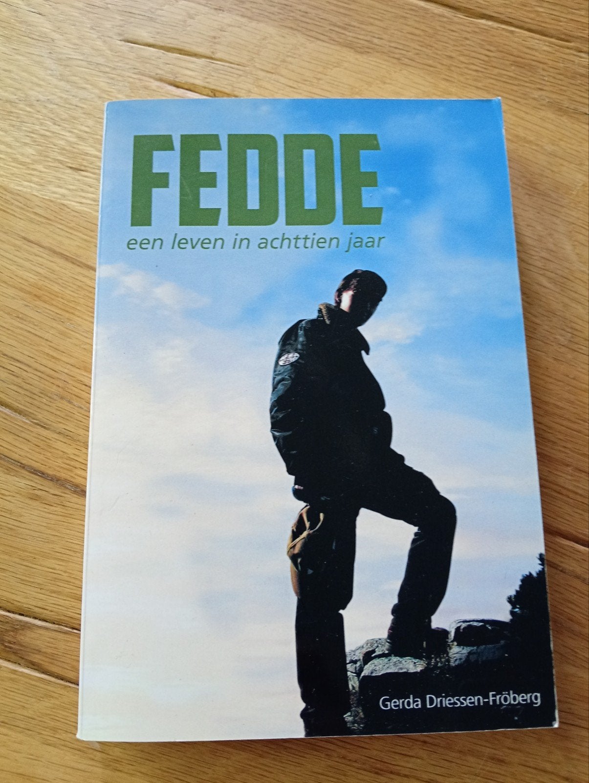 FEDDE: Een leven in achttien jaar - Gerda Driessen-Fröberg, Ophalen of Verzenden, Gerda Driessen-Fröberg, Overige
