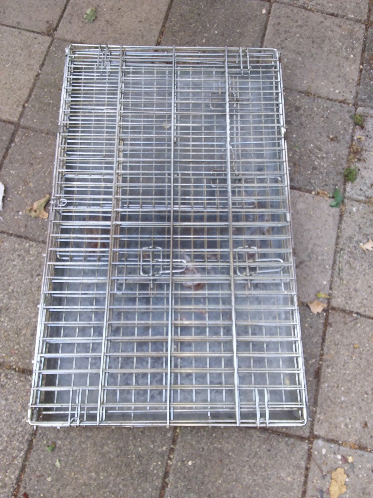 hondenbench groot, Dieren en Toebehoren, Ophalen, Gebruikt