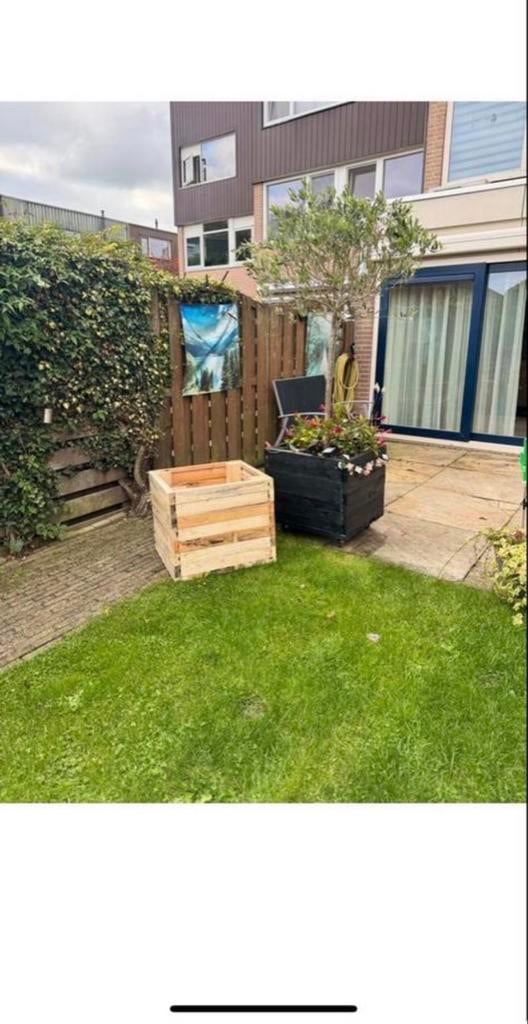 Houten plantenbak, Tuin en Terras, Ophalen, Minder dan 60 cm, Vierkant, Nieuw