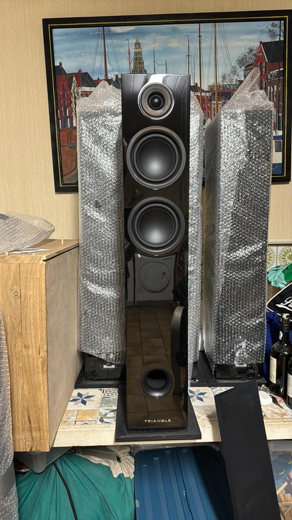 2 Triangle Elara LN05 vrijstaande luidsprekers, Audio, Tv en Foto, Luidsprekers, Ophalen, Zo goed als nieuw, 60 tot 120 watt, Overige merken