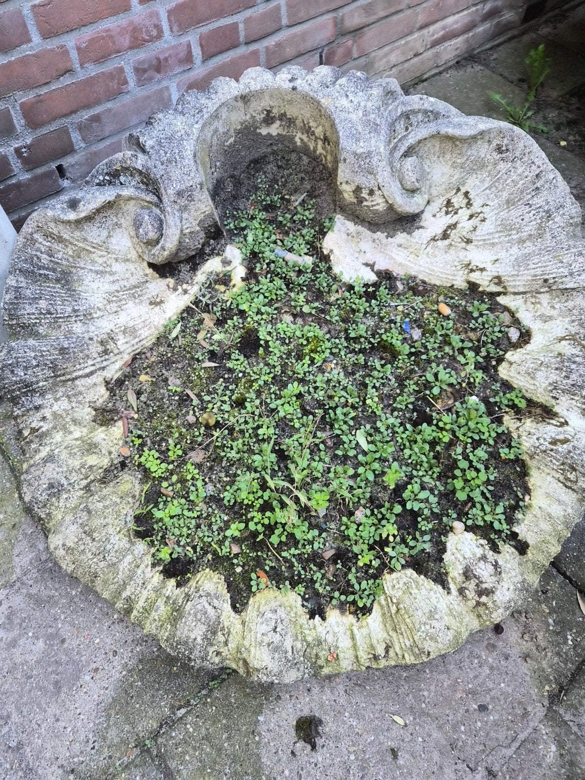 plantenbak beton, Tuin en Terras, Ophalen, Gebruikt, Rond