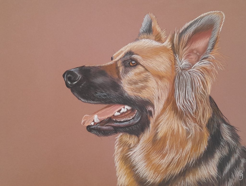 Schilderij Duitse herder _ GRATIS VERZENDING -Herdershond, Ophalen of Verzenden, Nieuw, Overige typen