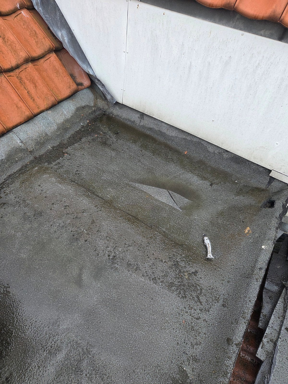 dakdekker pannendak bitumen dak, Gebruikt, Steen of Klei, Ophalen of Verzenden, Dakpannen