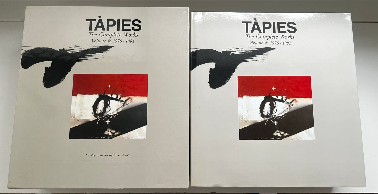 Antoni Tàpies-Complete Works Vol. 4: 1976–1981 (Anna Agustí), Boeken, Ophalen of Verzenden, Zo goed als nieuw, Schilder- en Tekenkunst