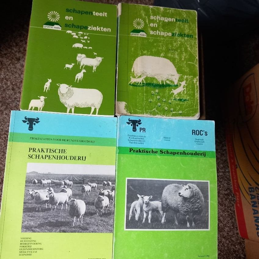 schapen - Praktische Schapenhouderij / fokkerij ., Ophalen of Verzenden, Gelezen, Vogels