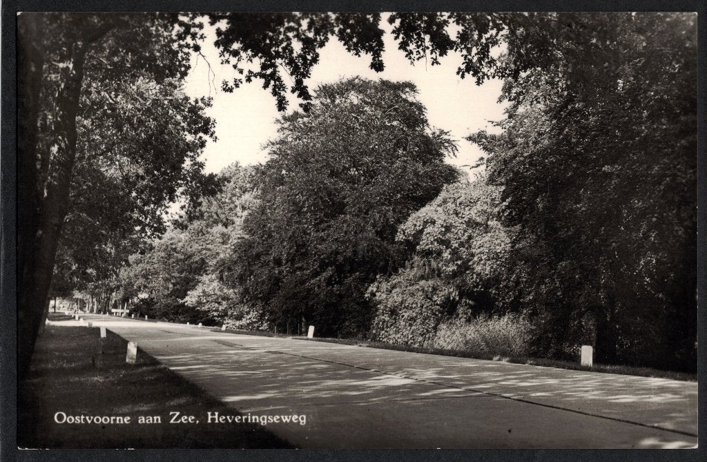 Oostvoorne aan Zee, Heveringseweg. 1959., Ophalen of Verzenden, 1940 tot 1960, Gelopen, Zuid-Holland