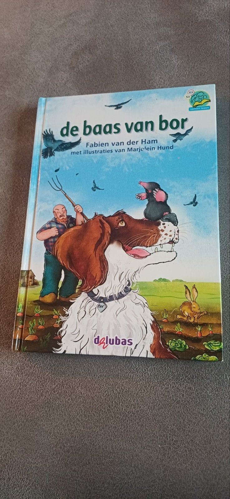 De Baas van Bor - Kinderboek, Ophalen of Verzenden, Gelezen, Fabien van der Ham, Fictie algemeen