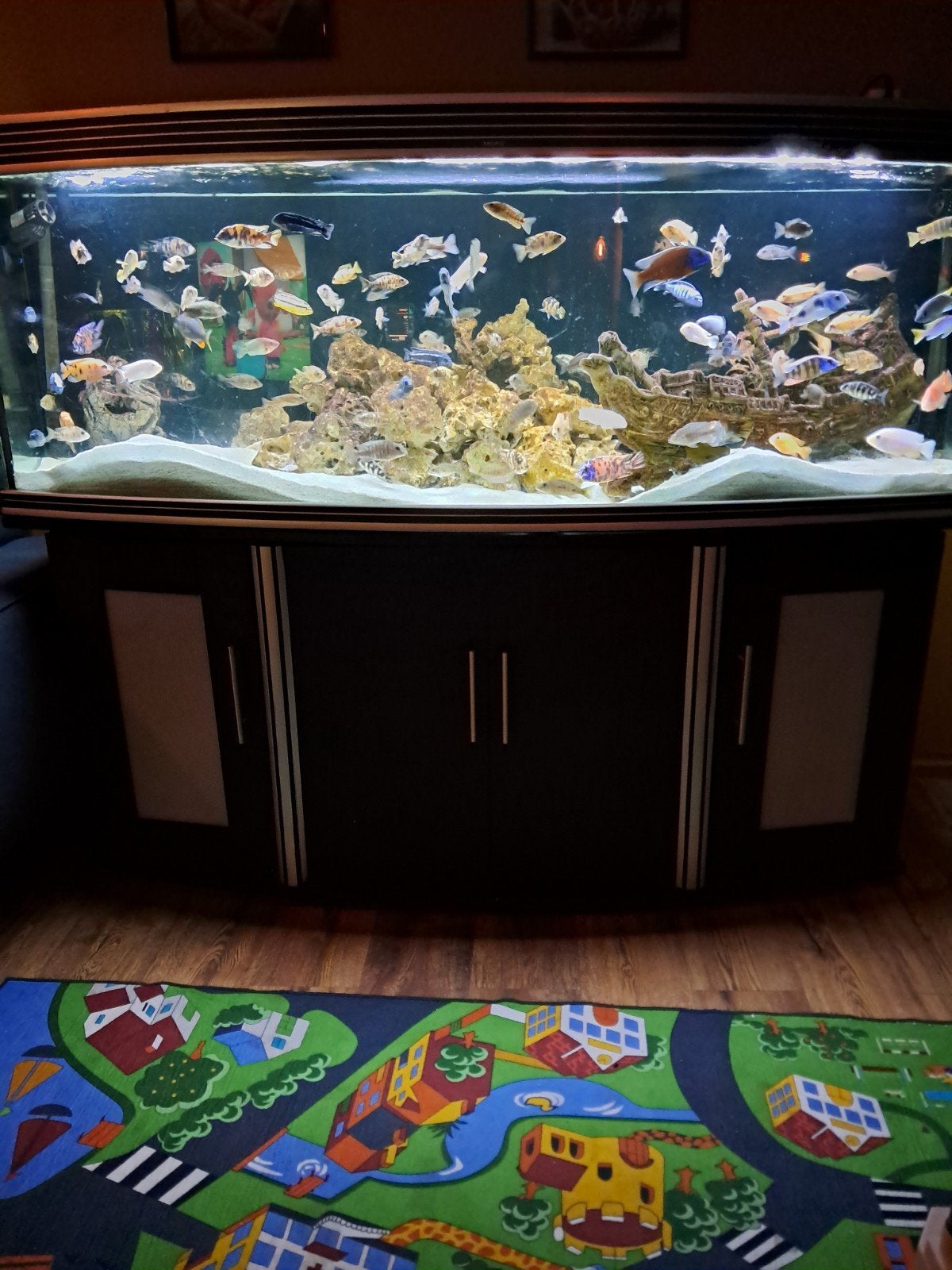 aquarium, Ophalen, Zo goed als nieuw, Leeg aquarium