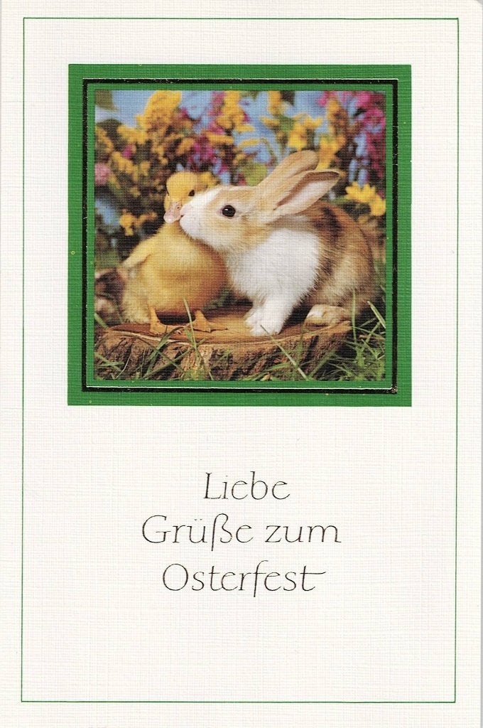 Eend en haas vieren Paasfeest 305, Verzamelen, Ansichtkaarten | Dieren, Verzenden, 1980 tot heden, Gelopen, Waterdier