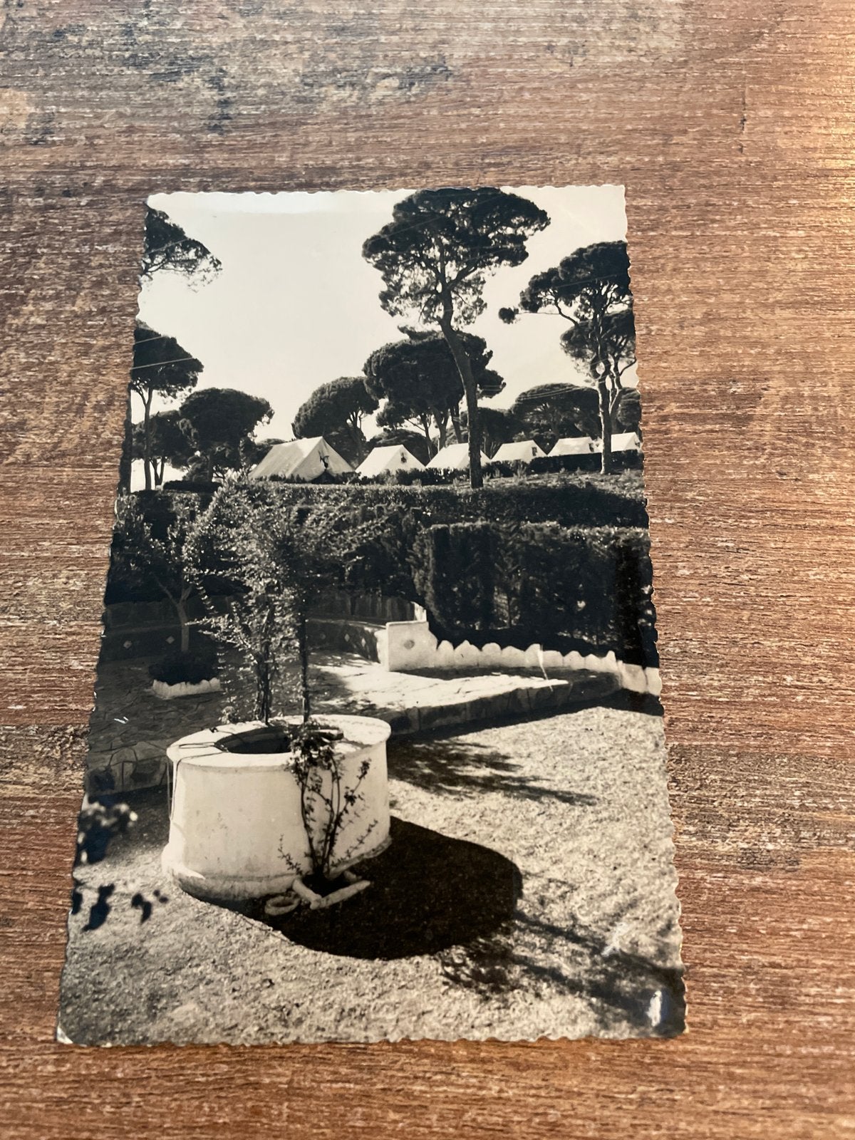 Oude ansichtkaart Marbella, Spanje - Campamento Provincial, Verzamelen, Ophalen of Verzenden, 1960 tot 1980, Gelopen, Stad of Dorp
