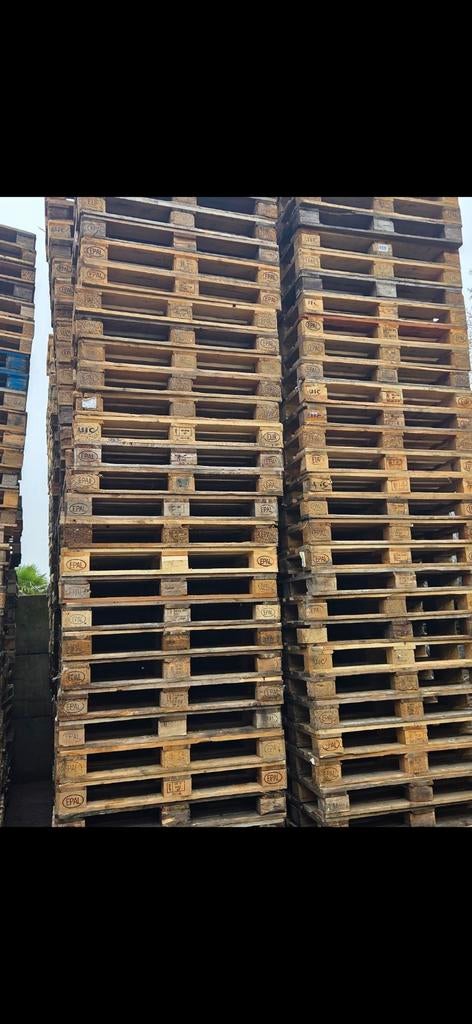 Gezocht: Europallets en andere palletmaten, Ophalen, 50 mm of meer, Pallet, Minder dan 200 cm