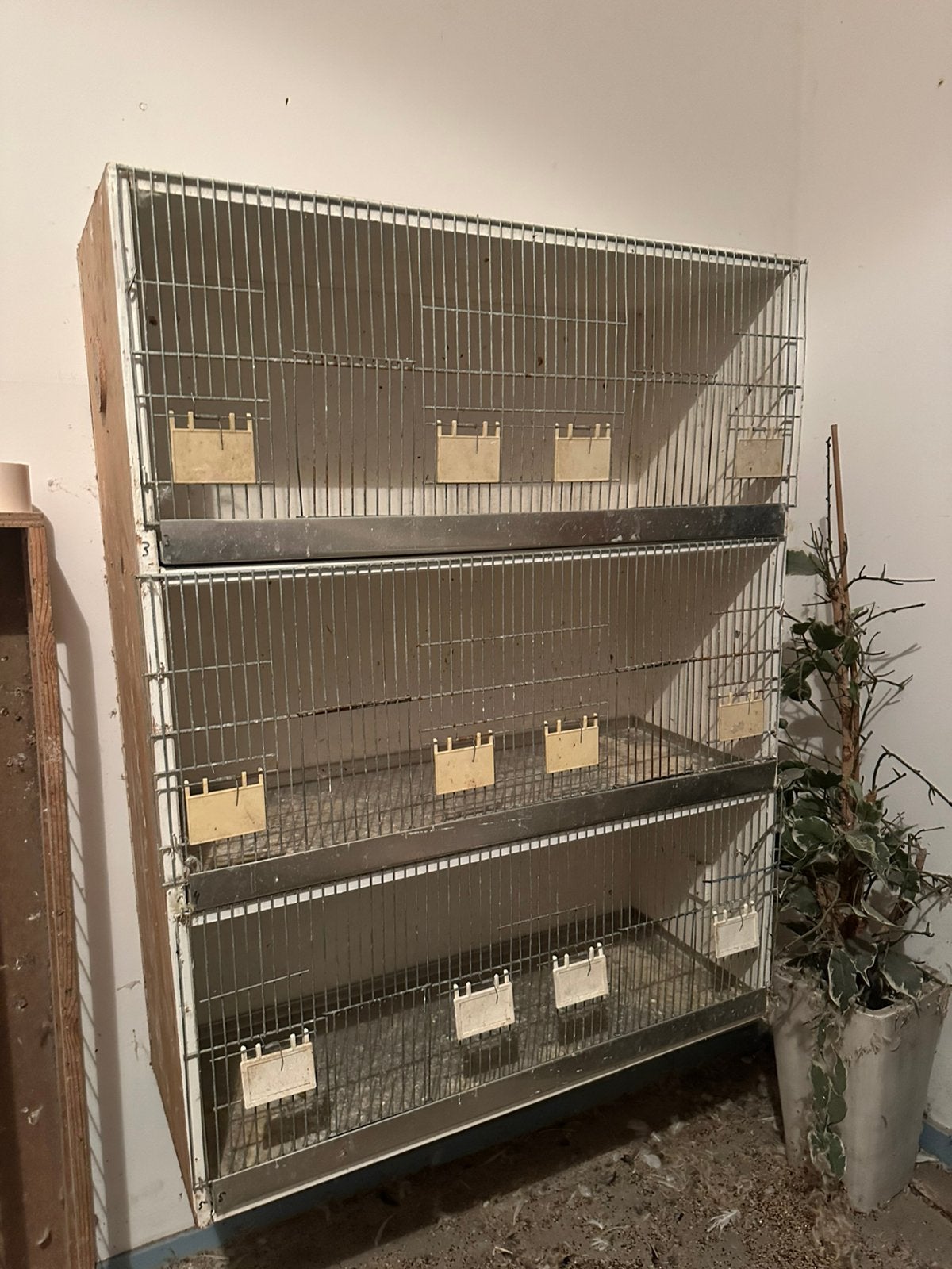 Broedkooien, kweekkooien met lades, Ophalen of Verzenden, Zo goed als nieuw, Hout, Broedkooi of Kweekkooi