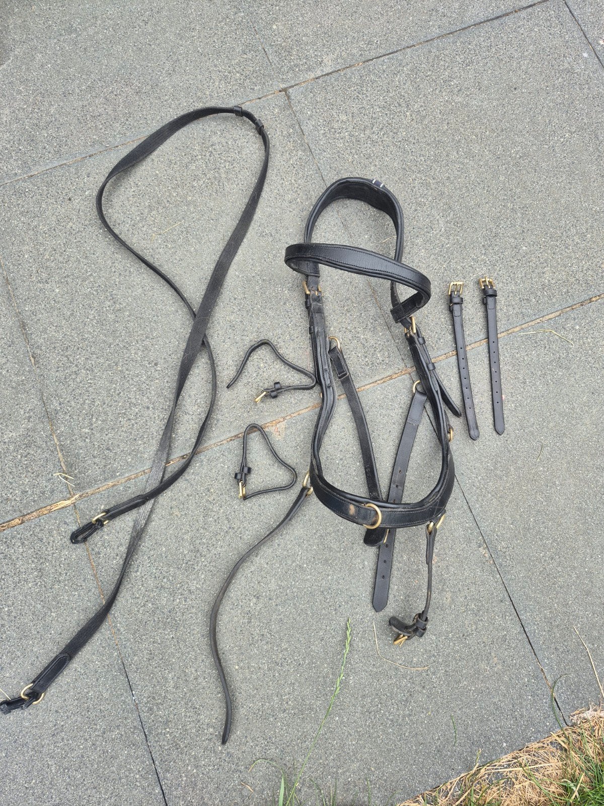 Micklem multi bridle 2.0, Dieren en Toebehoren, Ophalen of Verzenden