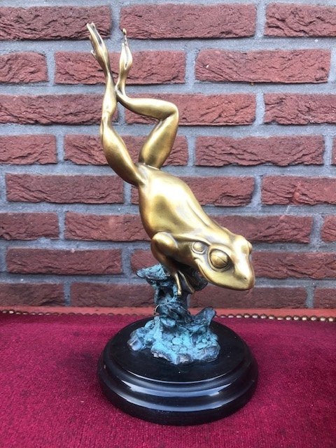levensecht bronzen beeld van een kikker, Ophalen of Verzenden, Brons