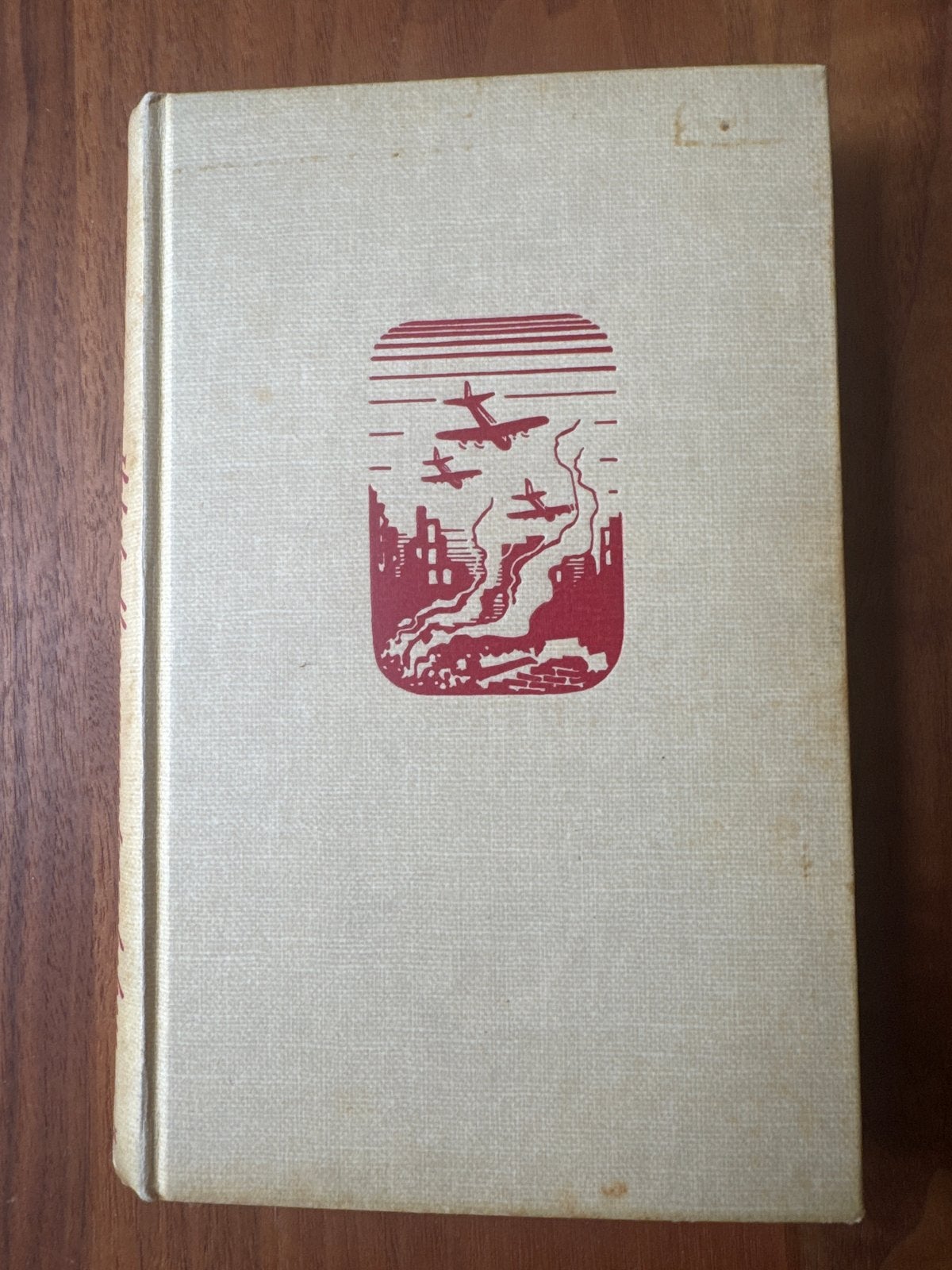 Nelly van Dijk-Has - Ik Heb Alleen Maar Toegekeken (2e druk), Boeken, Ophalen of Verzenden, Zo goed als nieuw