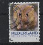 ‹(•¿•)› nl # m0055 zoogdieren ned - dwergmuis, Ophalen of Verzenden, Na 1940, Gestempeld