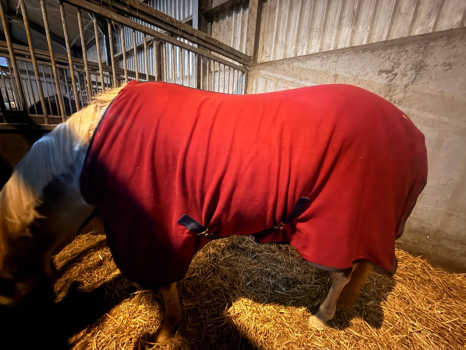 Partij paardenspullen te koop, Gebruikt, Verzenden, Overige materialen, Kruissingels