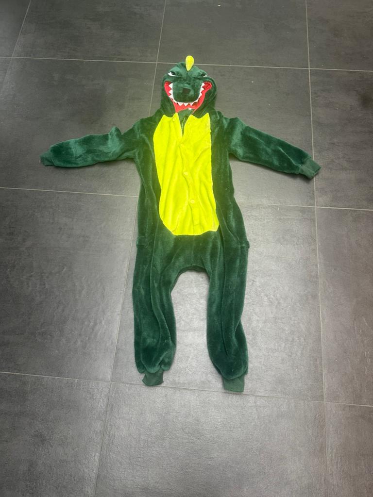 Dino pak/ onesie, Ophalen, Zo goed als nieuw, Jongen of Meisje