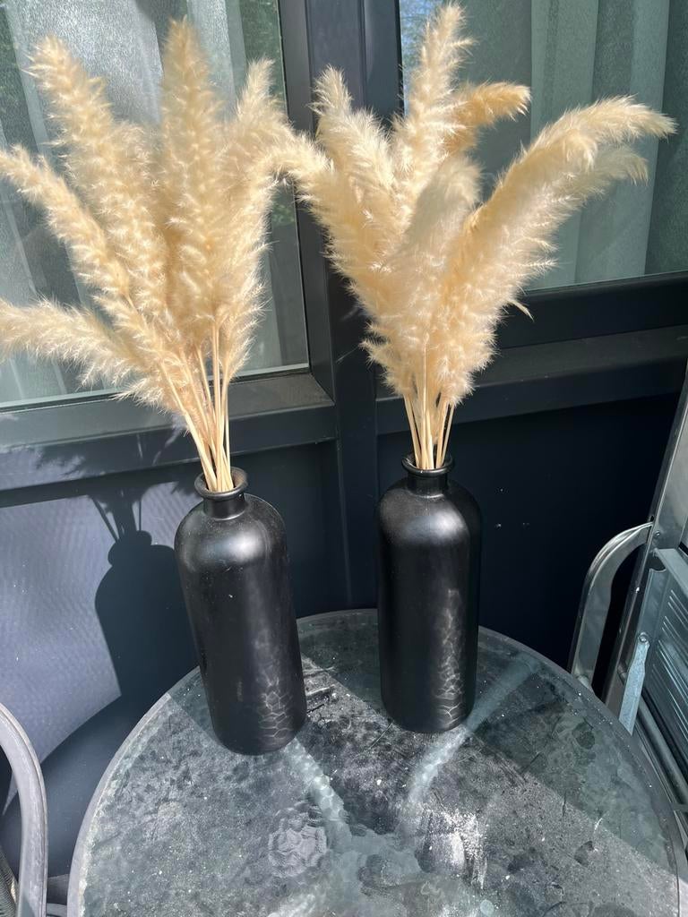 2 mooie vazen met pampas, Huis en Inrichting, Woonaccessoires | Vazen, Zwart, Ophalen of Verzenden, Minder dan 50 cm, Glas