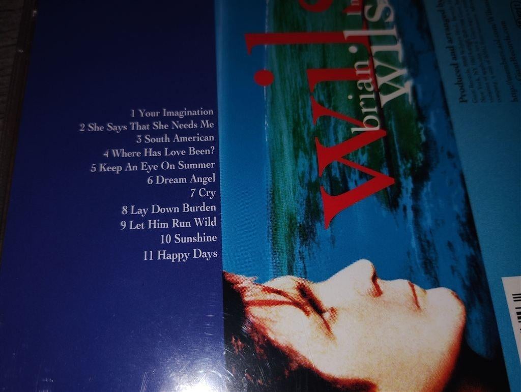 Brian Wilson - Imagination, Ophalen of Verzenden, Zo goed als nieuw