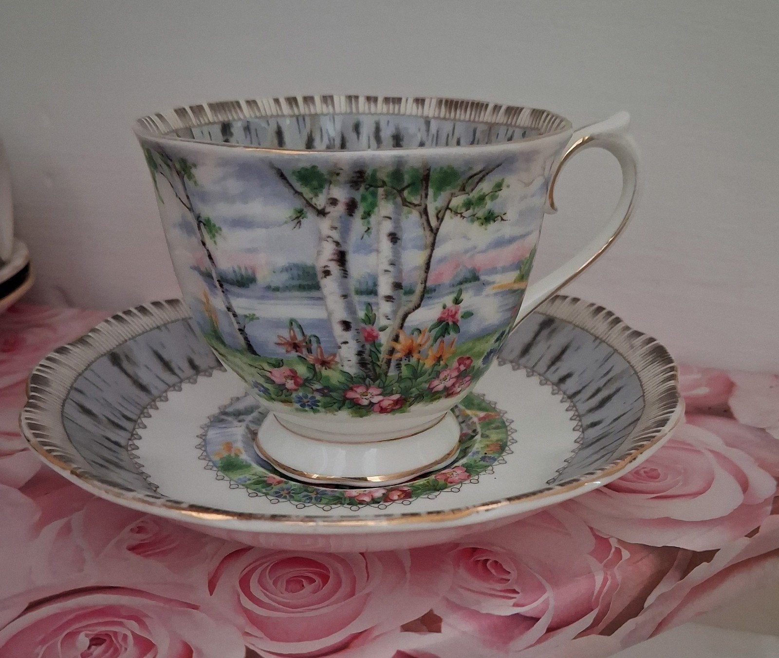 Royal Albert/Silver Birch, Ra, Kop en/of schotel, Ophalen of Verzenden, Zo goed als nieuw