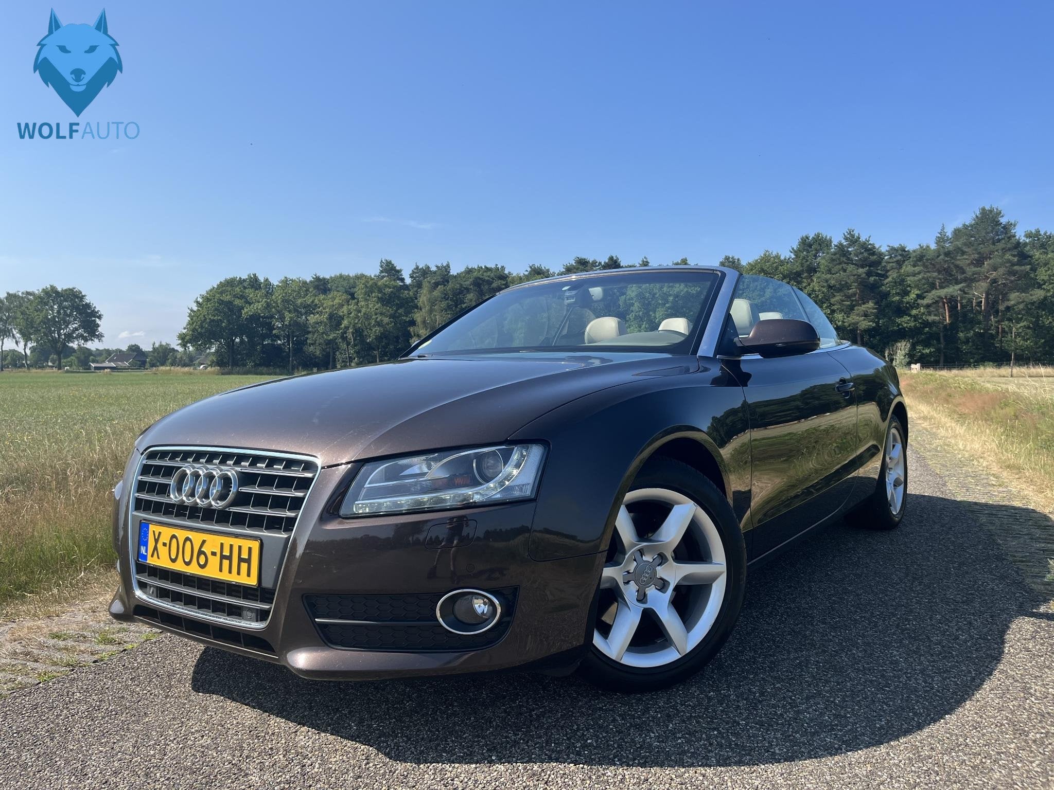 Audi A5 Cabriolet 2.7 TDI Pro Line V6 ONDERHOUDSHISTORIE! CH, Auto's, Audi, Euro 5, Gebruikt, Beige, 190 pk