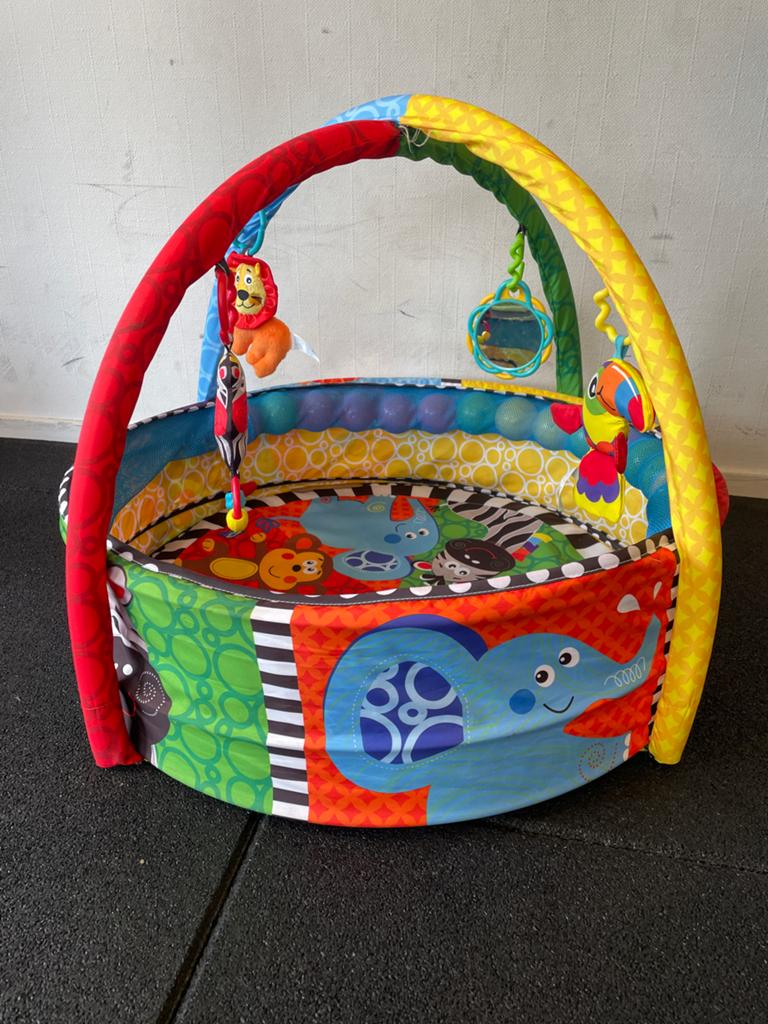 Playgro Activiteiten Ballenbak met 15 ballen en hangers, Ophalen, Zo goed als nieuw, Speelkleed