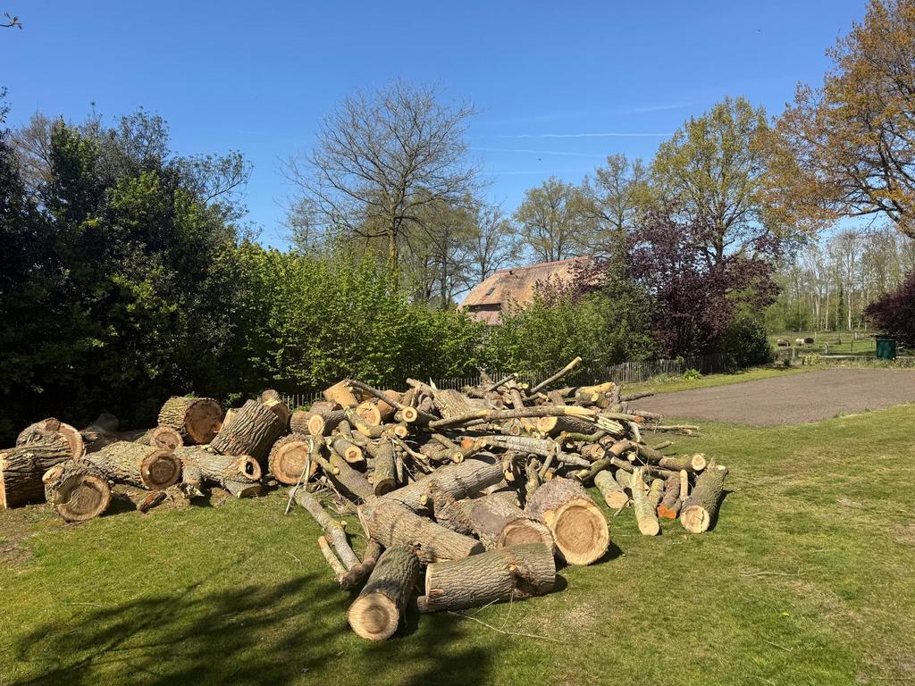 Haardhout populieren, Tuin en Terras, Haardhout, Minder dan 3 m³, Ophalen