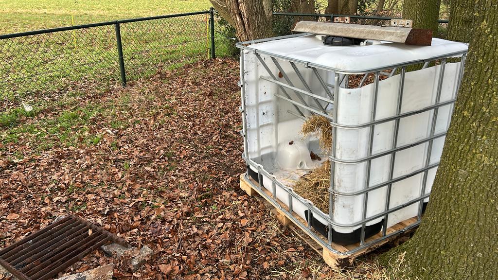 Nieuwe Hooiruif slow feeder schapen geiten pony's en paarden, Dieren en Toebehoren, Paarden en Pony's | Overige Paardenspullen