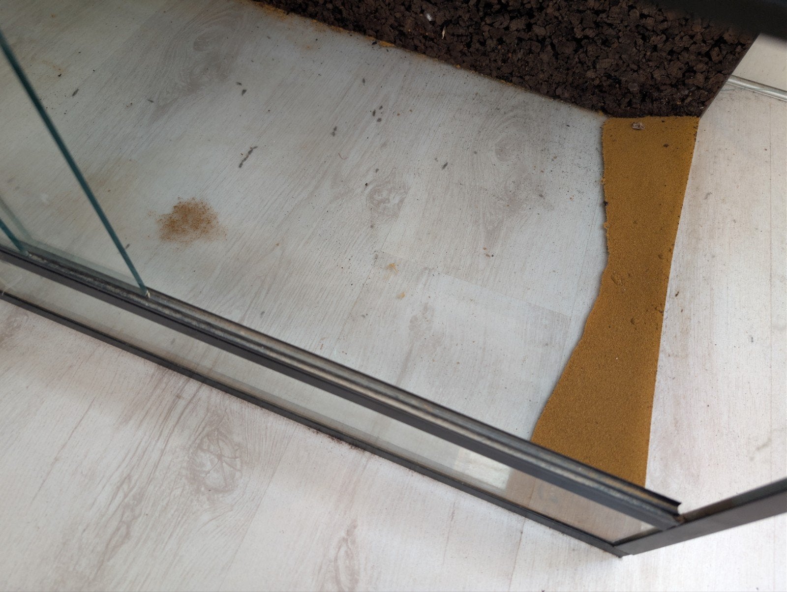 Glazen terrarium met kurk achterwand 100x50x50 cm, Ophalen, Gebruikt, Terrarium of Paludarium