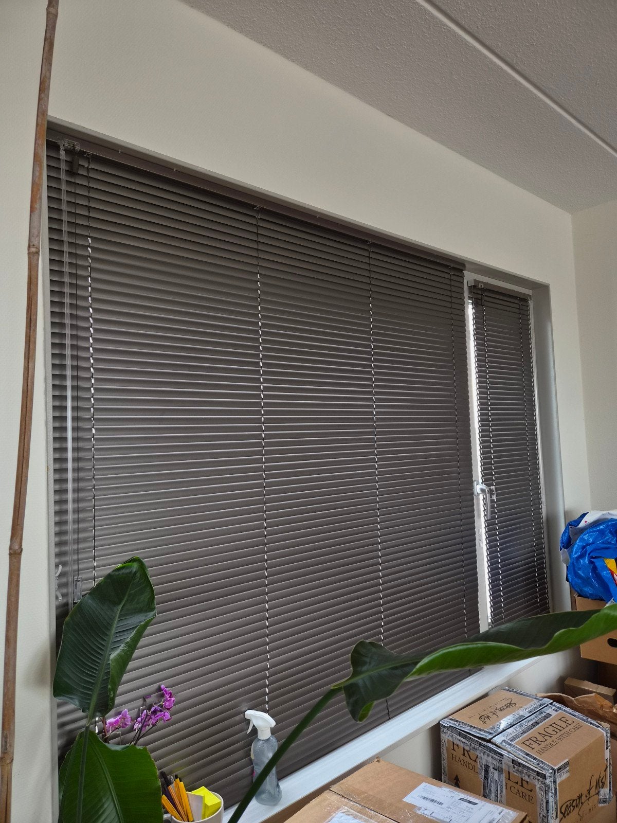 Luxaflex raambekleding 

Te koop: nette Luxaflex raambekledi, Ophalen