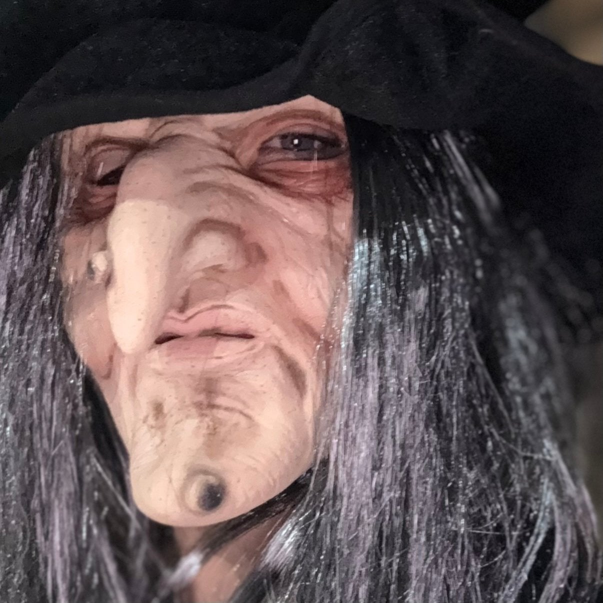 Griezelig heksenmasker met wilde grijs-zwarte pruik, Eén persoon