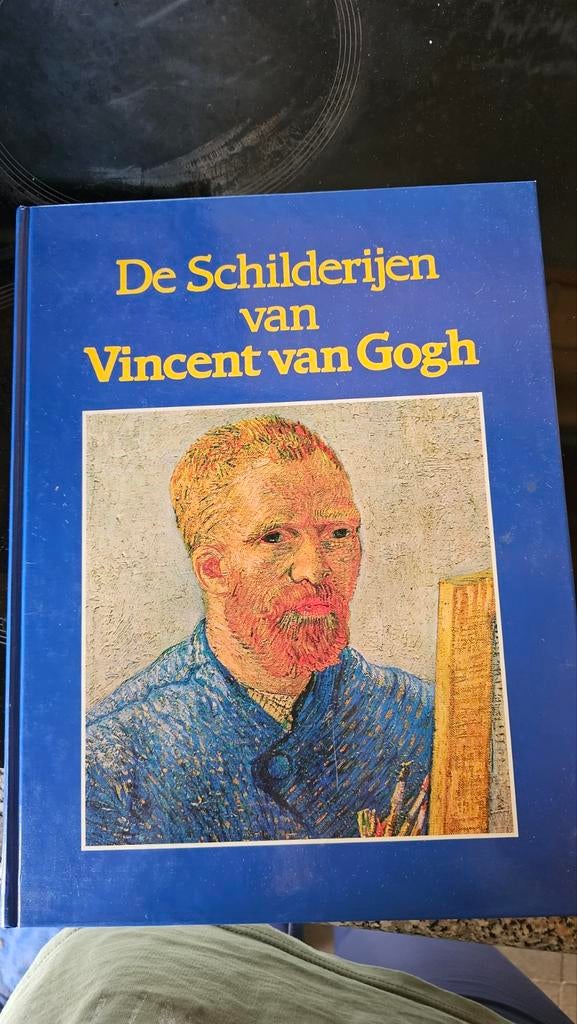 Vincent van Govh de schilderijen van, Ophalen of Verzenden, Zo goed als nieuw