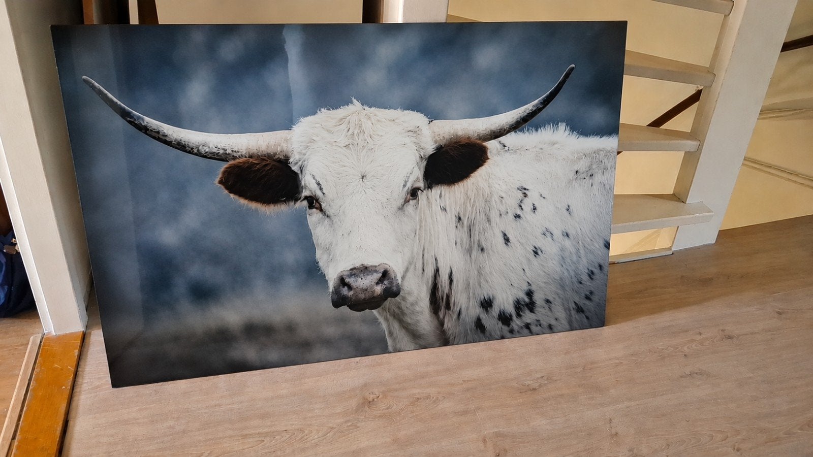 Groot glasschilderij, Ophalen, Schilderij, Minder dan 50 cm