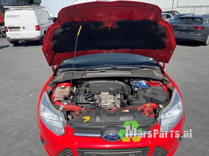 Injector (benzine injectie) van een Ford Focus, Gebruikt, -, -, Ophalen of Verzenden