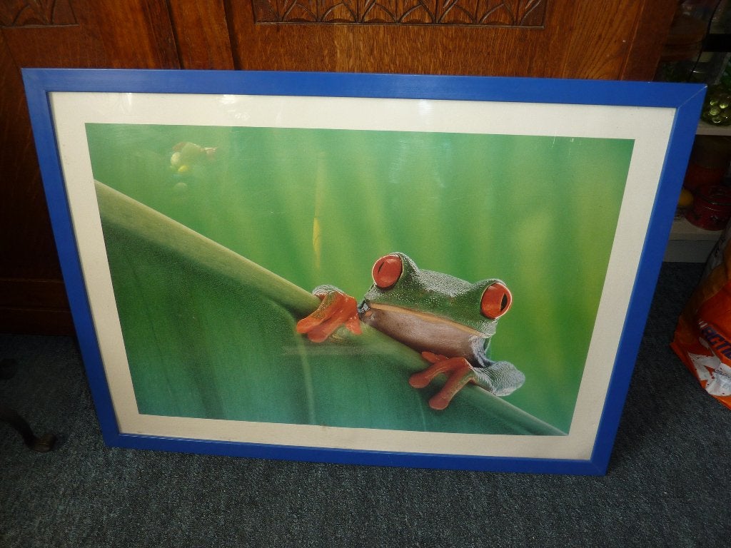 2 wanddecoraties canvas kikker en fruit poster, Ophalen of Verzenden, Zo goed als nieuw, Deurposter of groter, Dier of Natuur