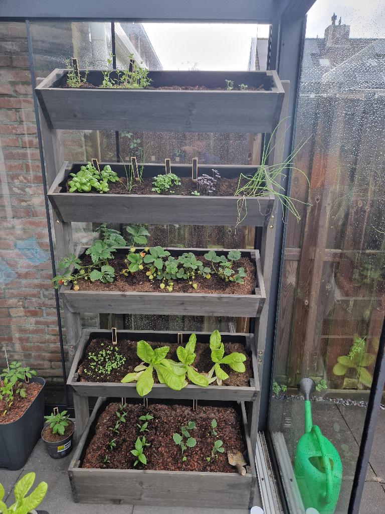 Houten verticale moes-/ kruiden-/ plantentuin 5 lagen, Tuin en Terras, Ophalen, Gebruikt, Balkon, 60 tot 100 cm