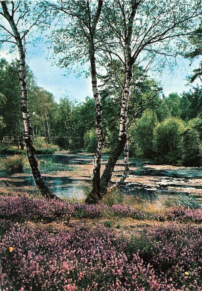 Dwingeloo 115, Ophalen of Verzenden, Voor 1920, Gelderland
