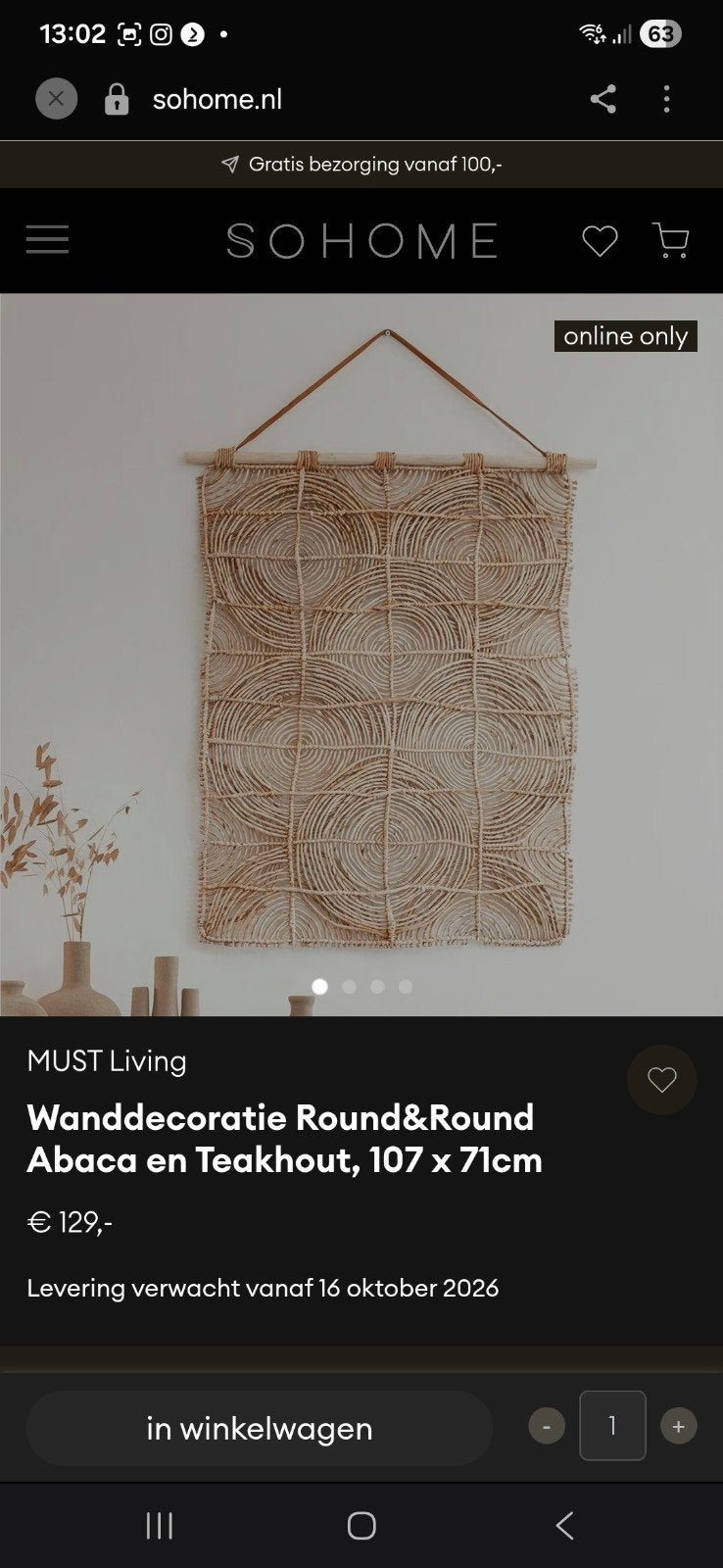 Wanddecoratie / wandpaneel, Ophalen of Verzenden, Zo goed als nieuw