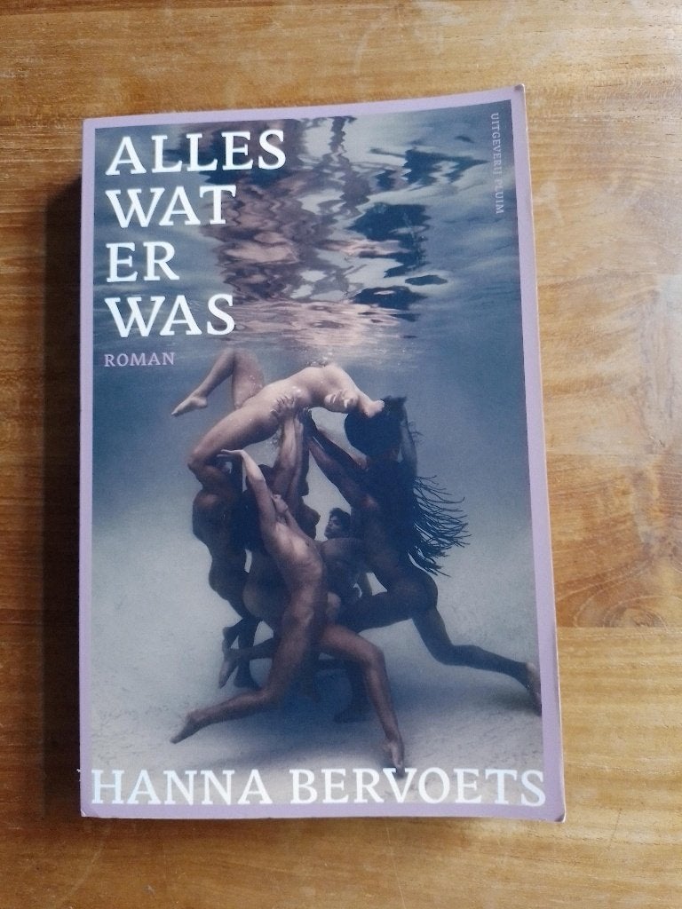 Alles wat er was   Hanna Bervoets, Hanna Bervoets, Ophalen of Verzenden, Zo goed als nieuw, Nederland