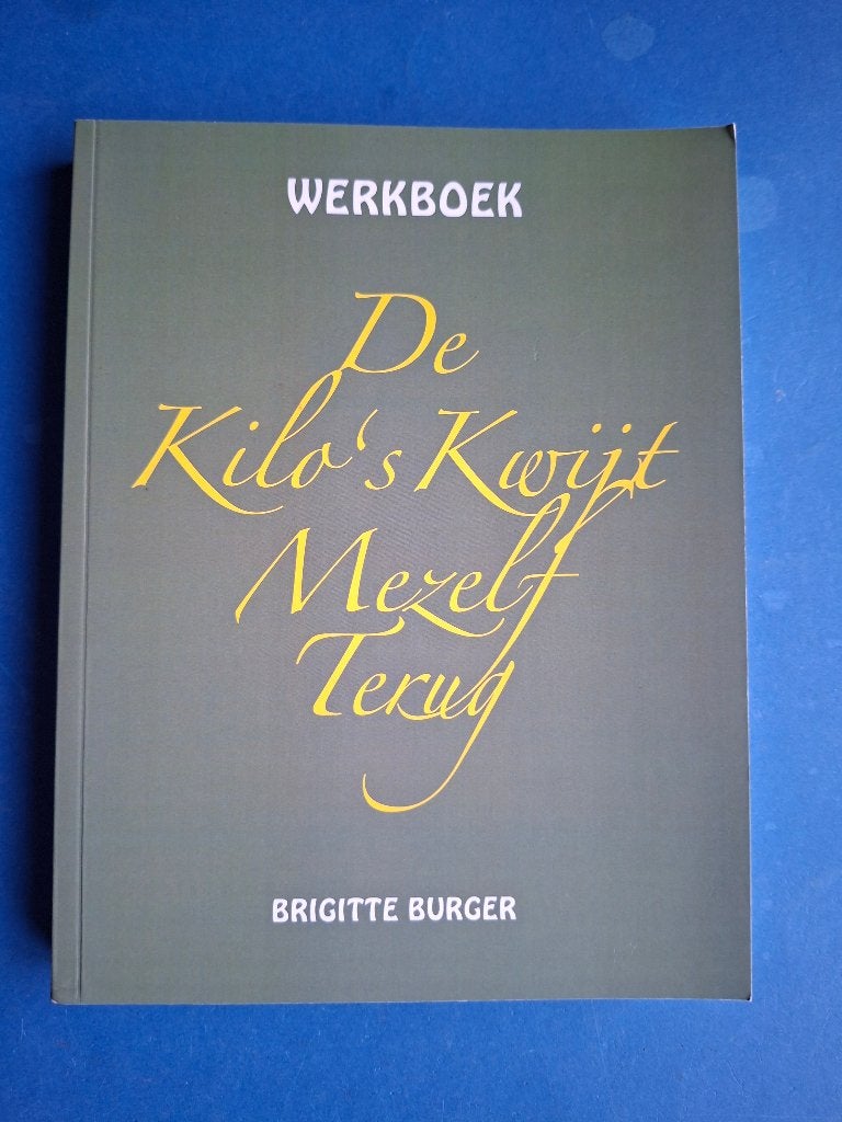 De kilo’s kwijt mezelf terug - werkboek - *  Brigitte Burger, Verzenden, Zo goed als nieuw