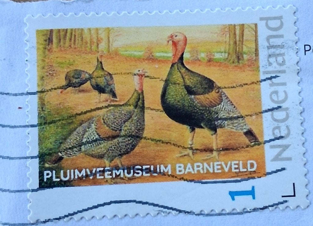 Persoonlijke Pluimveemuseum Barneveld Kalkoen Van Gink teken, Ophalen of Verzenden, Na 1940, Gestempeld