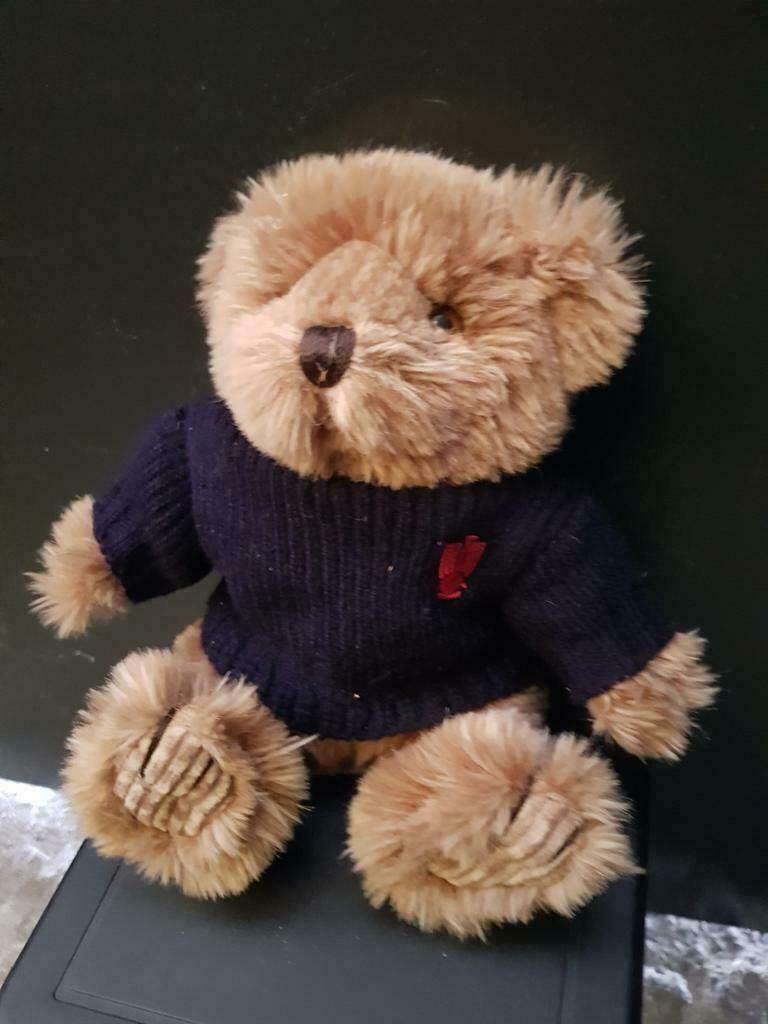 knuffel, Ophalen of Verzenden, Nieuw, Beer, Klein (minder dan 20 cm)