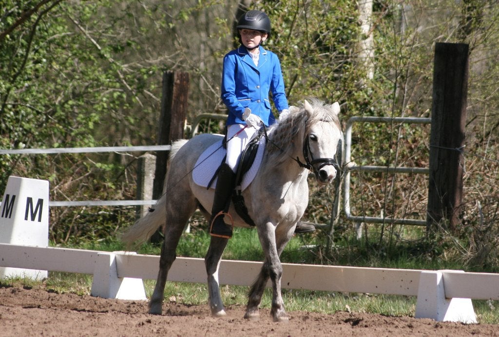 Welsh pony 118cm: Charlotte, incl zadel en hoofdstel, Dieren en Toebehoren, Merrie, B pony (1.17m tot 1.27m), 11 jaar of ouder
