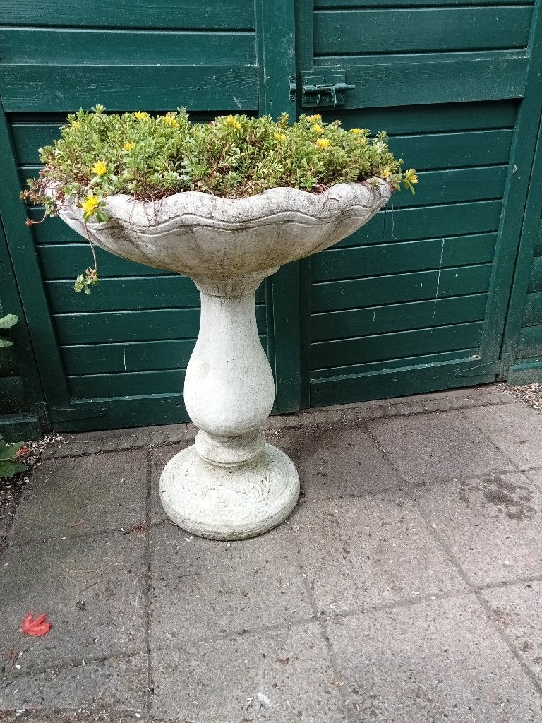 BETON BLOEMBAK BLOEMPOT OP SOKKEL PILAAR MET  VETPLANTEN, Tuin en Terras, Bloembakken en Plantenbakken, Ophalen, Gebruikt, Rond