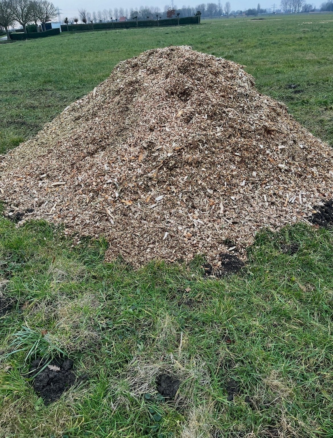 Houtsnippers gezocht voor moestuin(vereniging), 6 m³ of meer, Ophalen of Verzenden, Overige houtsoorten, Takken